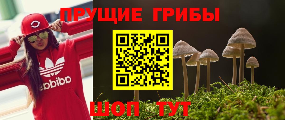 где купить наркоту  Вход с VPN  Шахты  Псилоцибиновые грибы мухоморы 